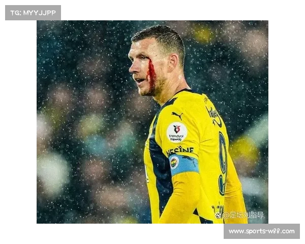 世界杯预选赛：斯洛伐克主场惜败波黑，哲科头球制胜